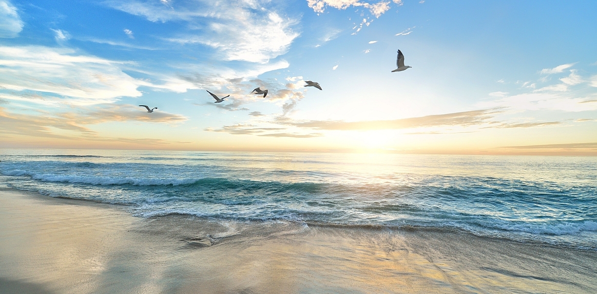 Please click the Site then image credits menu item on the home page for information