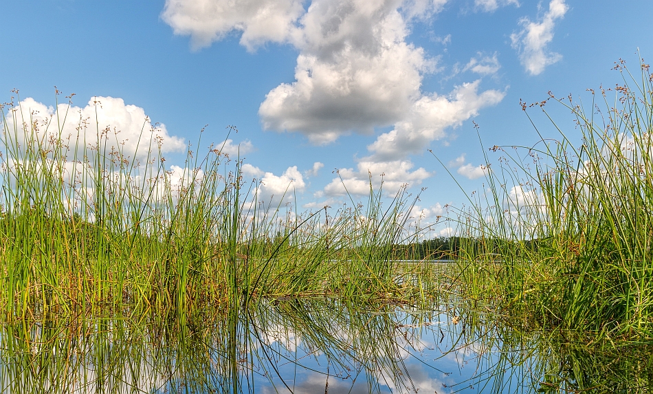 Please click the Site then image credits menu item on the home page for information