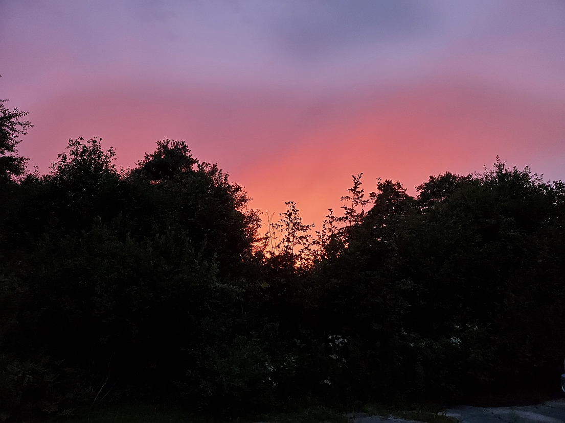 Please click the Site then image credits menu item on the home page for information